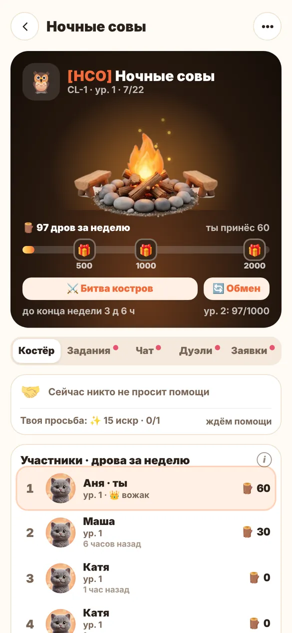 Костёр команды